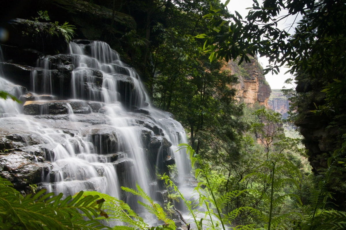 Wentworth Falls Walking Track