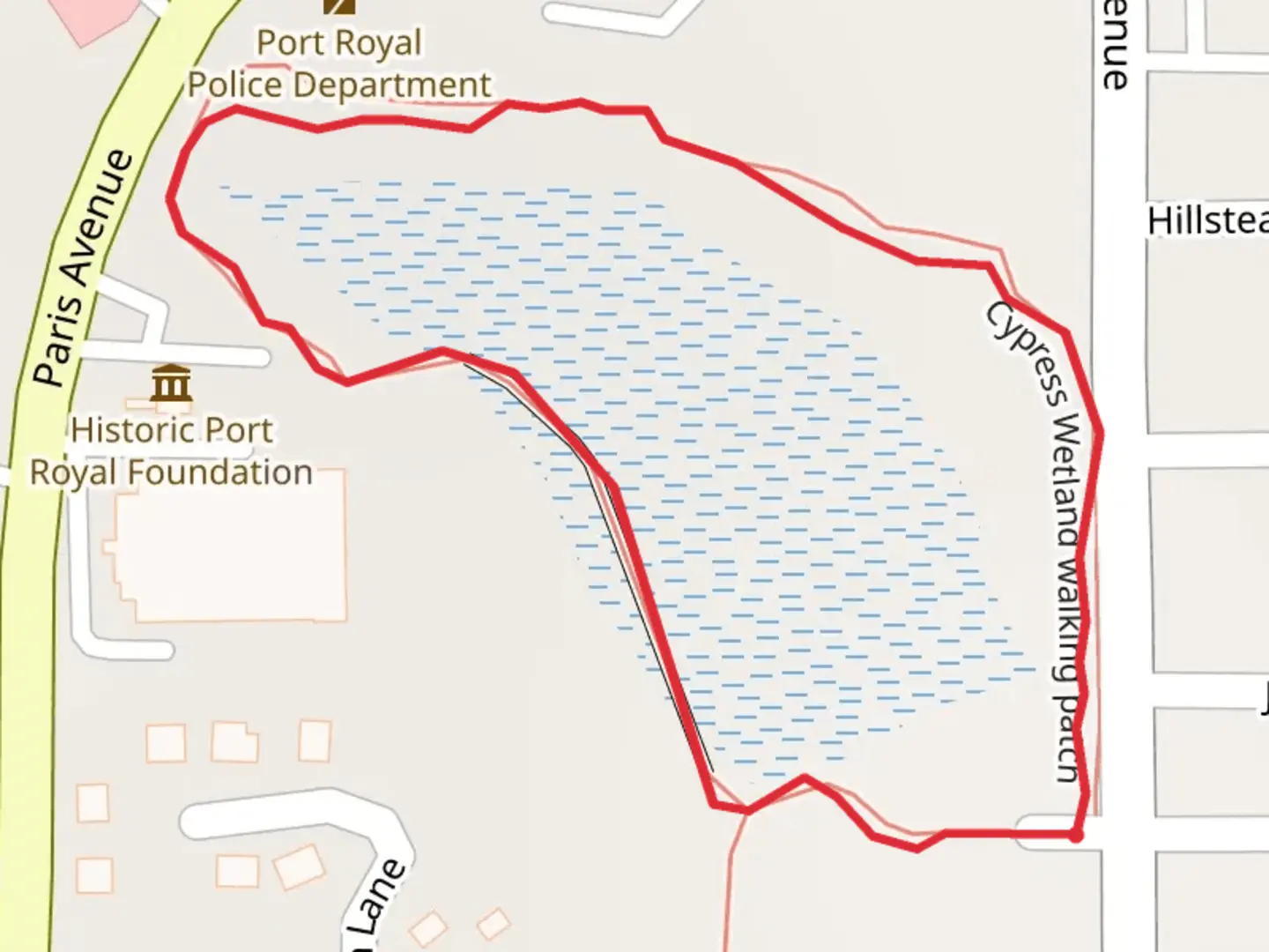 An image depicting the trail Cypress Wetland walking patch Loop and its surrounding area.