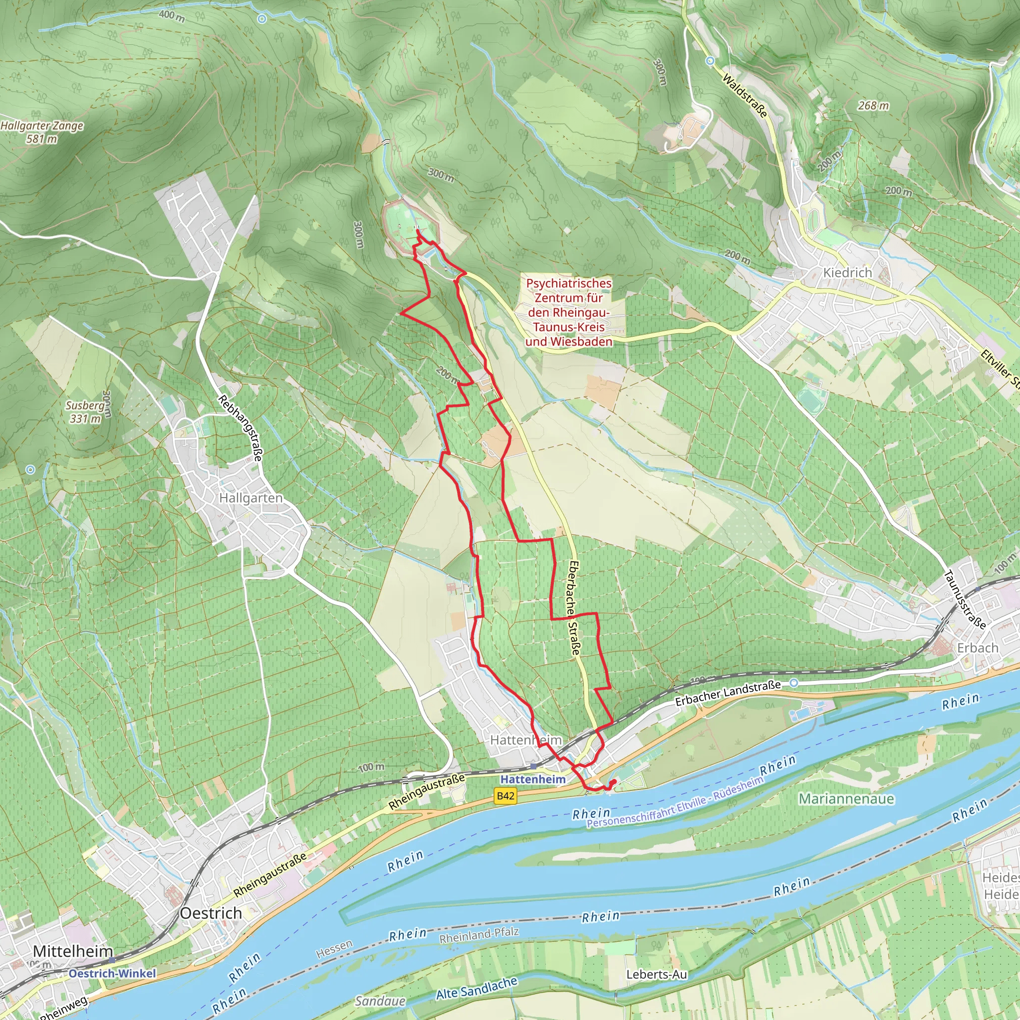 Weinwanderweg Hattenheim Loop mobile static map