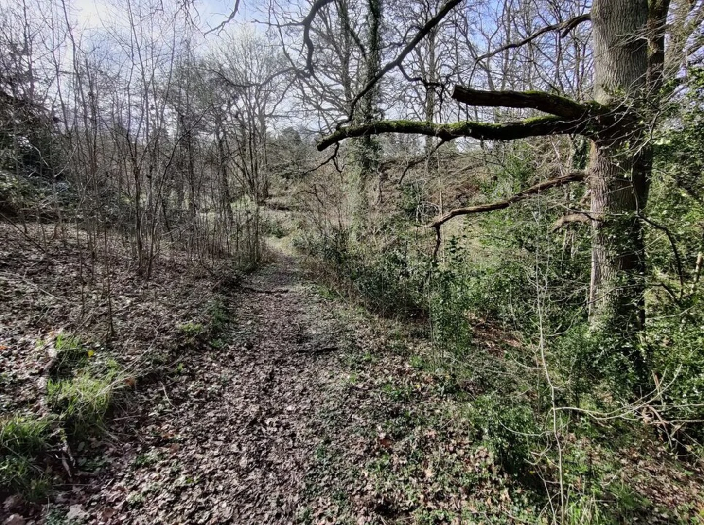 An image depicting the trail Upper Arley Circular Loop Walk and its surrounding area.