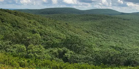 An image depicting the trail Taconic Crest Trail and its surrounding area.