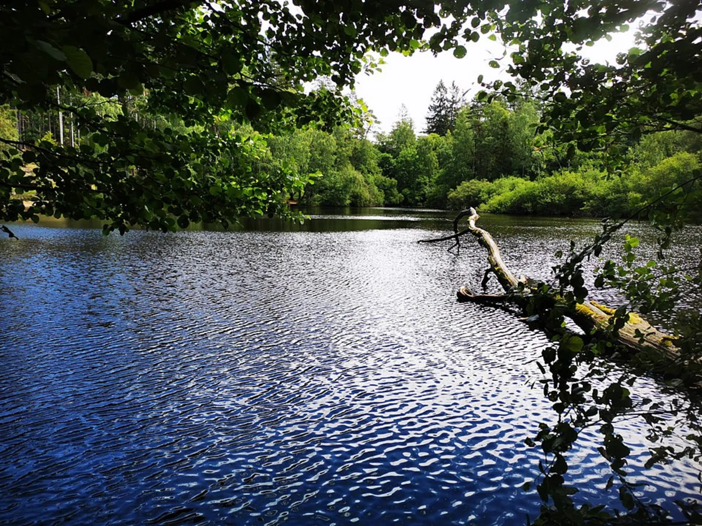 An image depicting the trail Eselsweg and its surrounding area.
