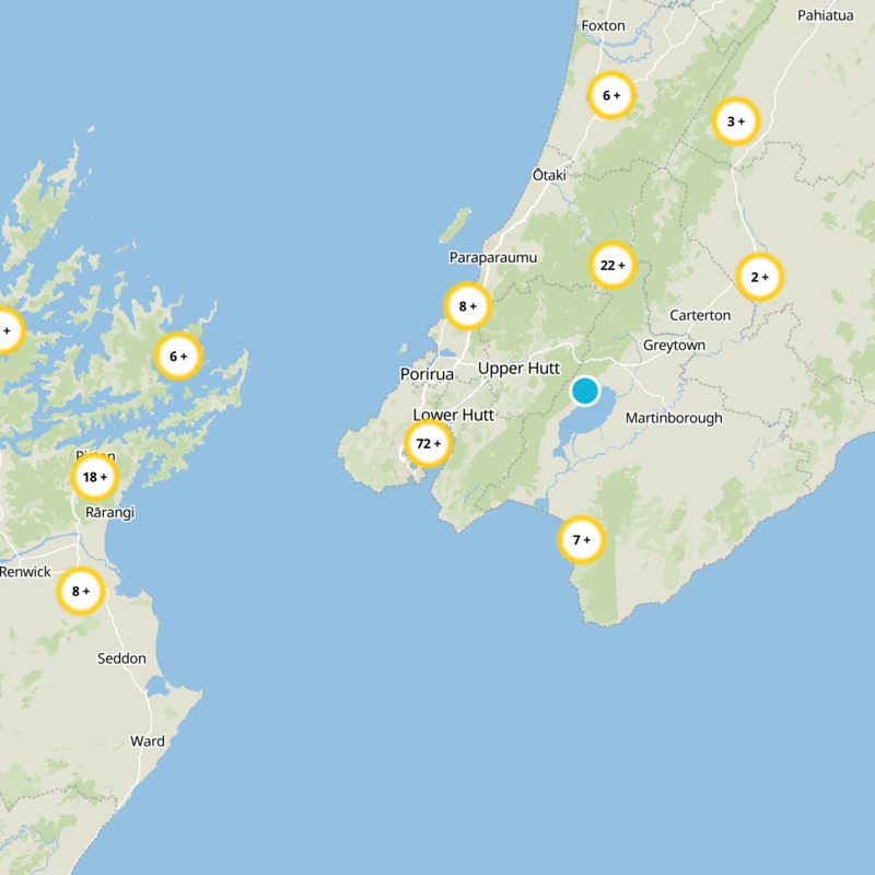 Lower Hutt Static Map