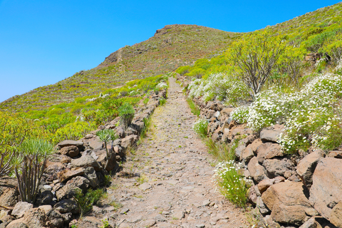 Roque del Conde SL TF 218