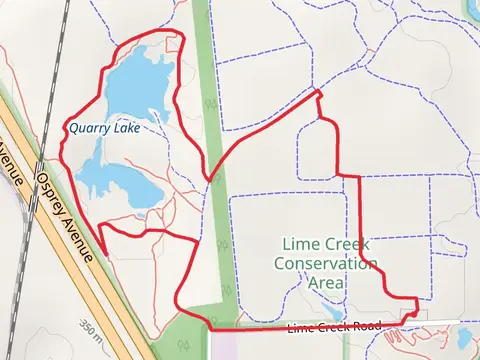 Red-Tailed Hawk and Quarry Lake Loop