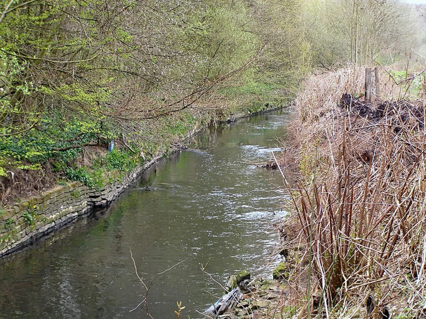 An image depicting the trail Alkrington Woods Loop and its surrounding area.