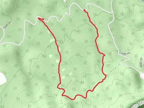 Children's Forest Trail