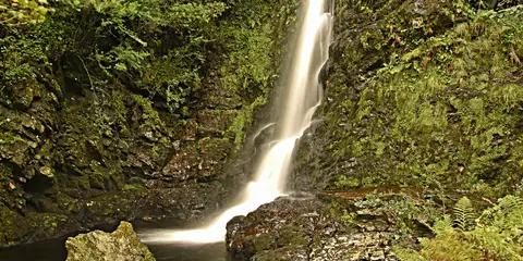 An image depicting the trail Loch Skeen Loop from Grey Mare's Trail and its surrounding area.