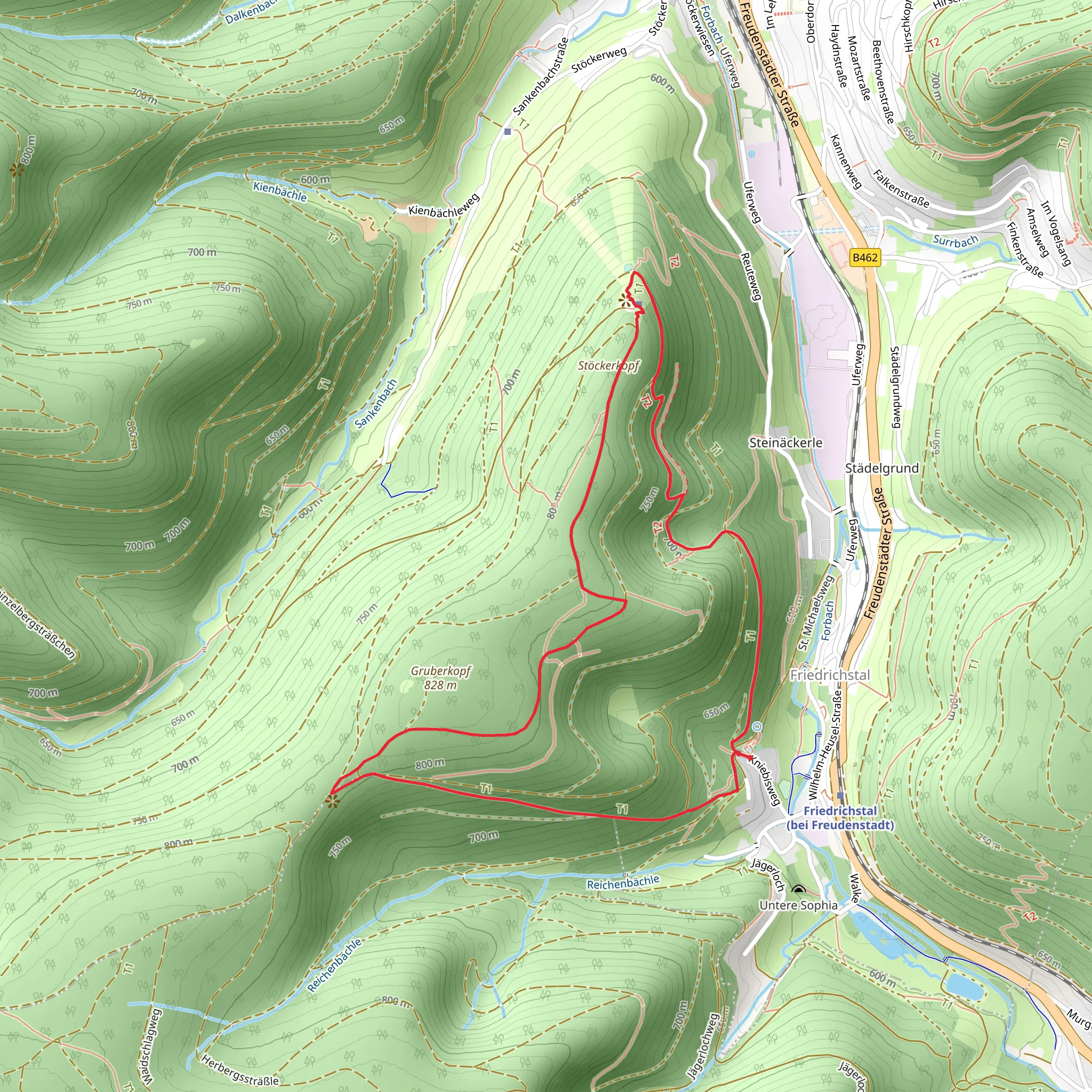Wasenhütte and Stockerkopf Loop - Friedrichstal mobile static map