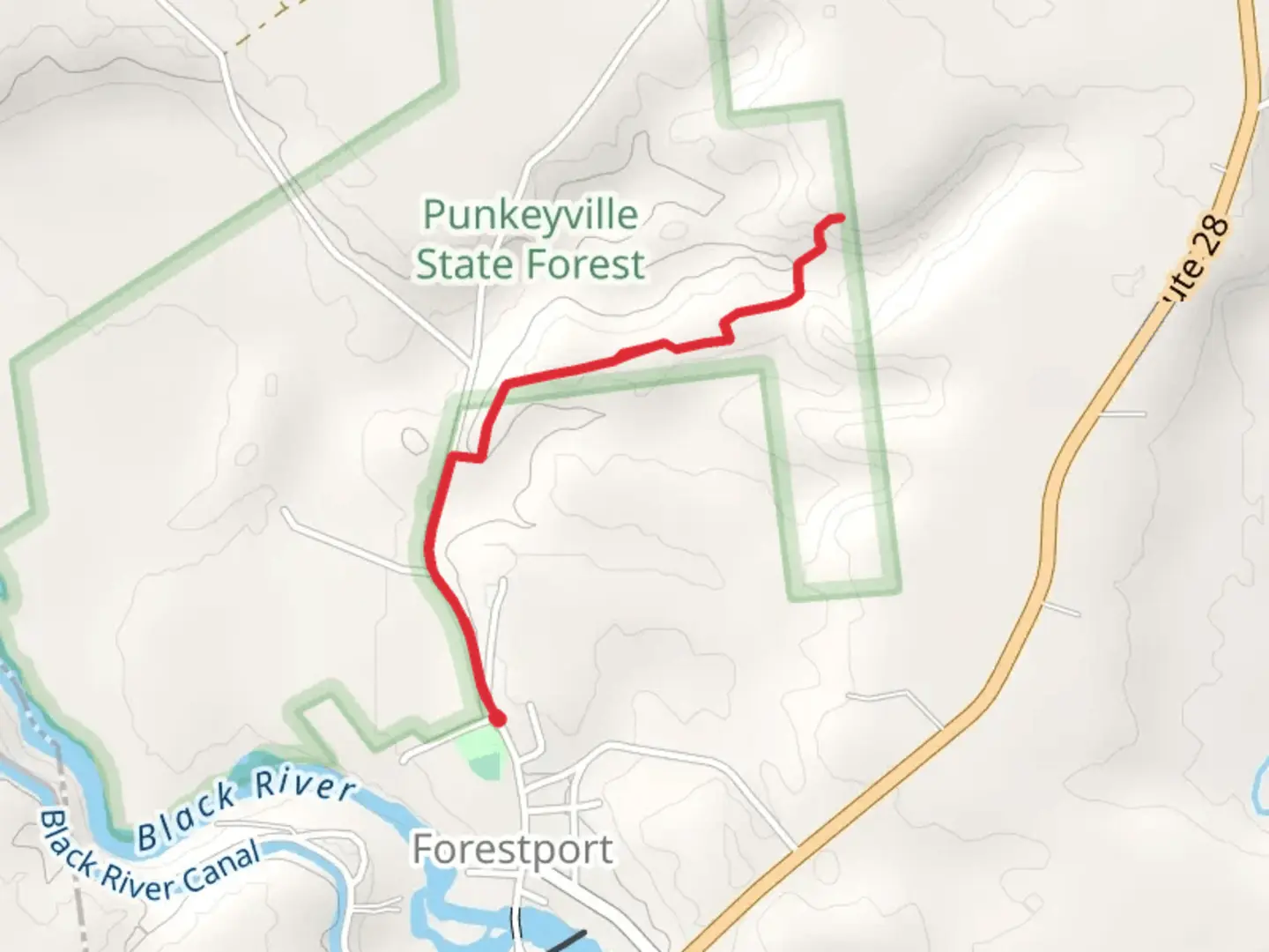 An image depicting the trail River Road Trail - Forestport and its surrounding area.