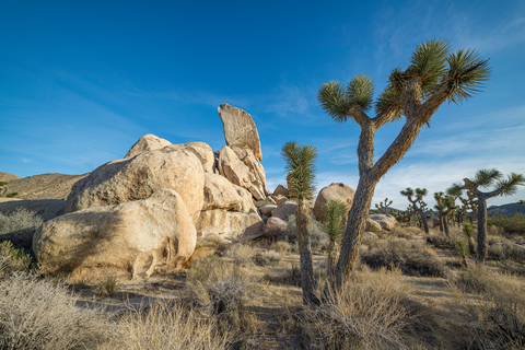 An image depicting the trail Ryan Campground Unpaved Road Trail and its surrounding area.