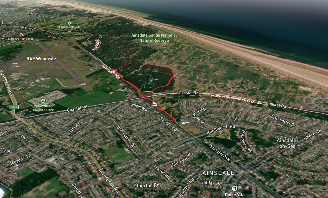 Ainsdale Pine Woods Loop