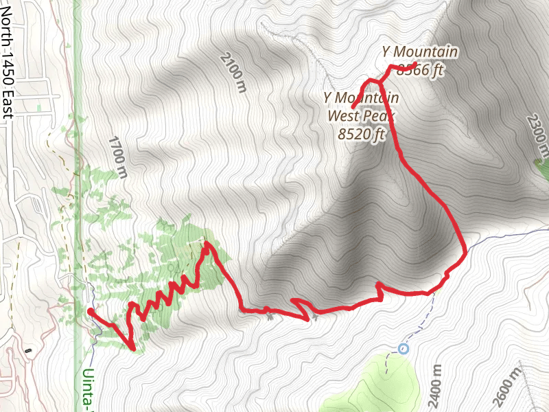 Y Mountain Trail and Y Mountain West Peak