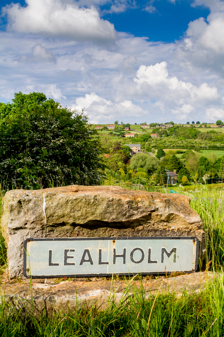 An image depicting the trail Lealholm to Grosmont Walk and its surrounding area.
