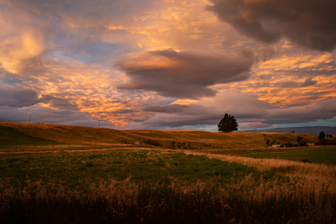 Otago Central Rail Trail