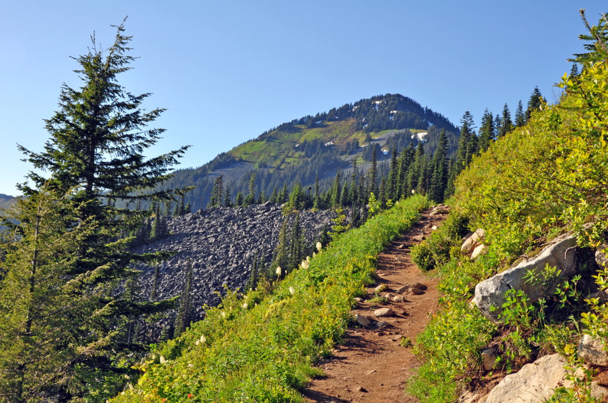 Bandera Mountain Trail