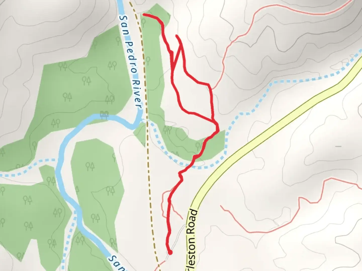 An image depicting the trail Petroglyph Discovery Loop via San Pedro Trail and its surrounding area.