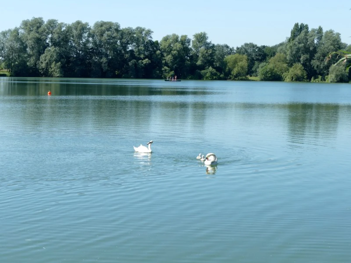 West Lake and Old Trout Lake Loop