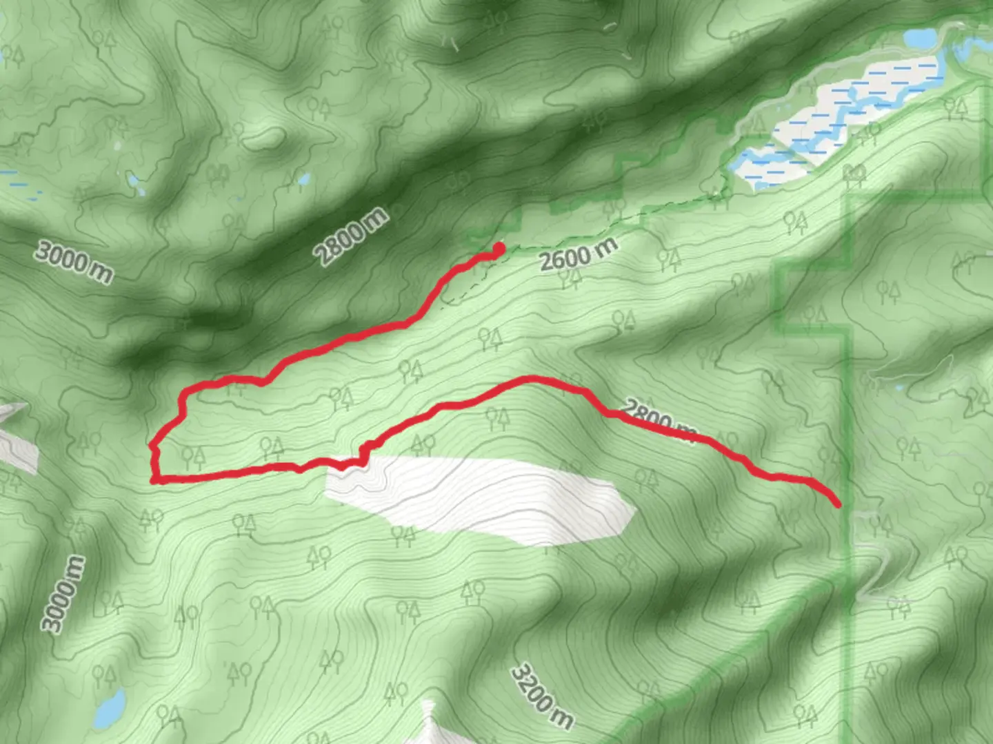 An image depicting the trail Finch Lake - Pear Lake Trail and Allenspark Trail and its surrounding area.