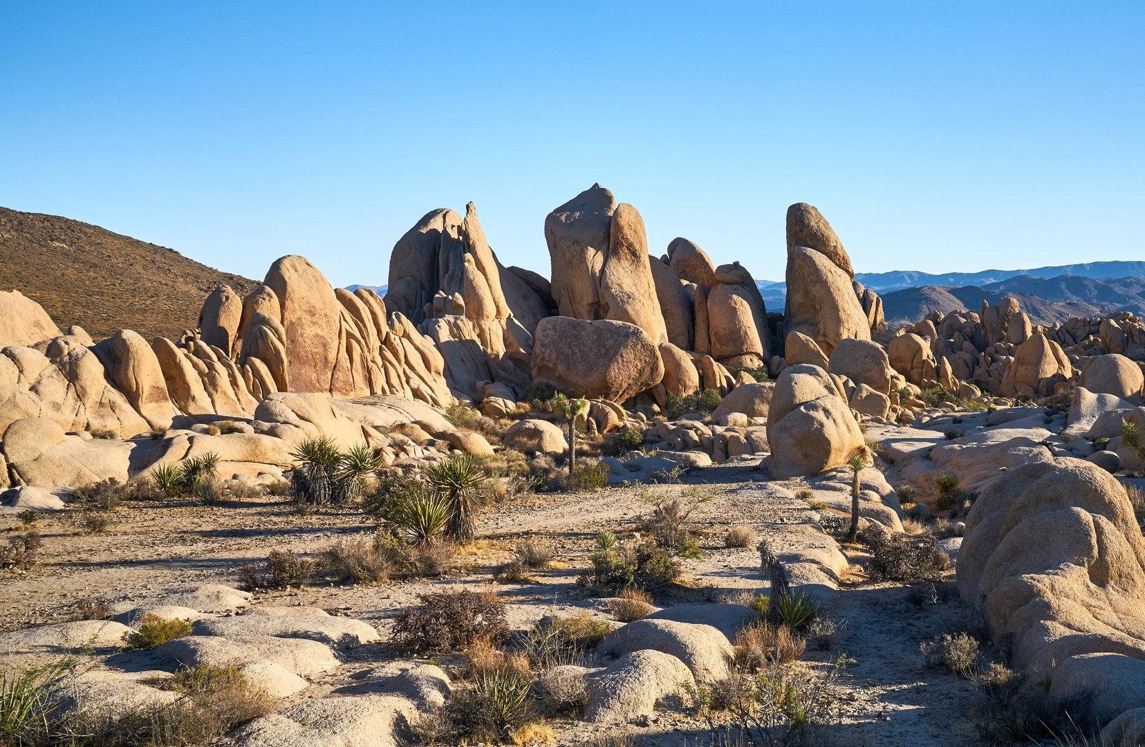 An image depicting the trail Rocky View Loop via Burro Trail and its surrounding area.