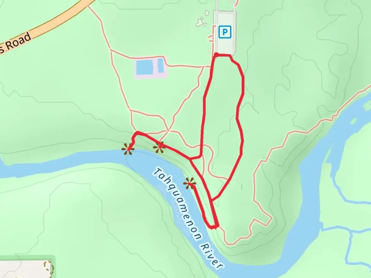 An image depicting the trail Tahquamenon River Loop and its surrounding area.