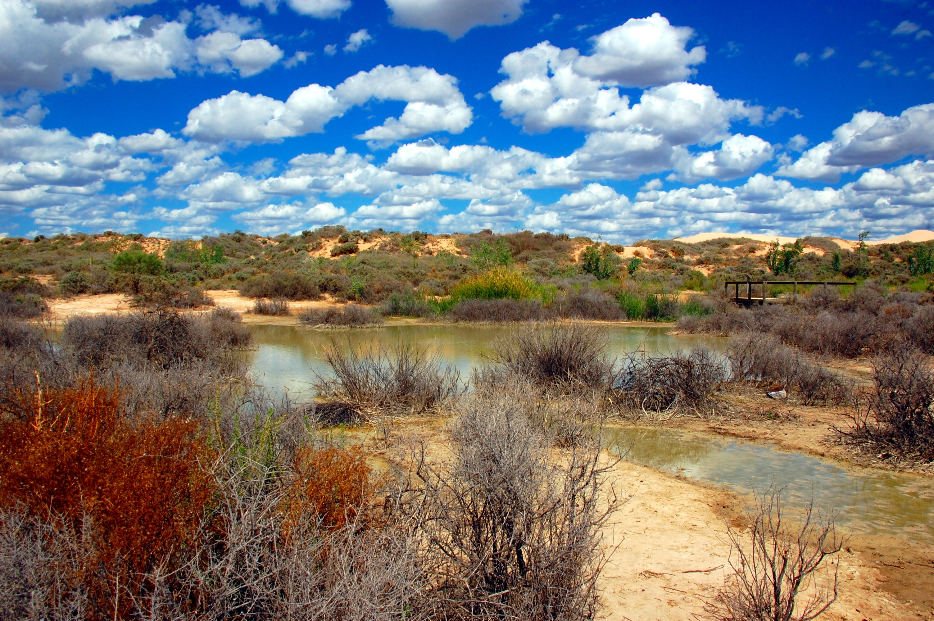 An image depicting the trail Mungo National Park and its surrounding area.