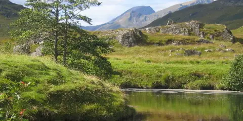 An image depicting the trail Loch Ossain to Staoineag Bothy and its surrounding area.