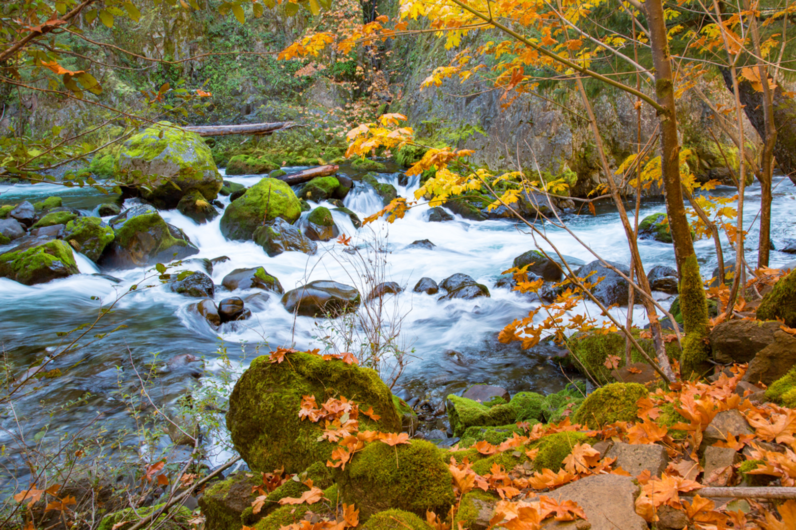 An image depicting the trail Deception Butte Trail and its surrounding area.