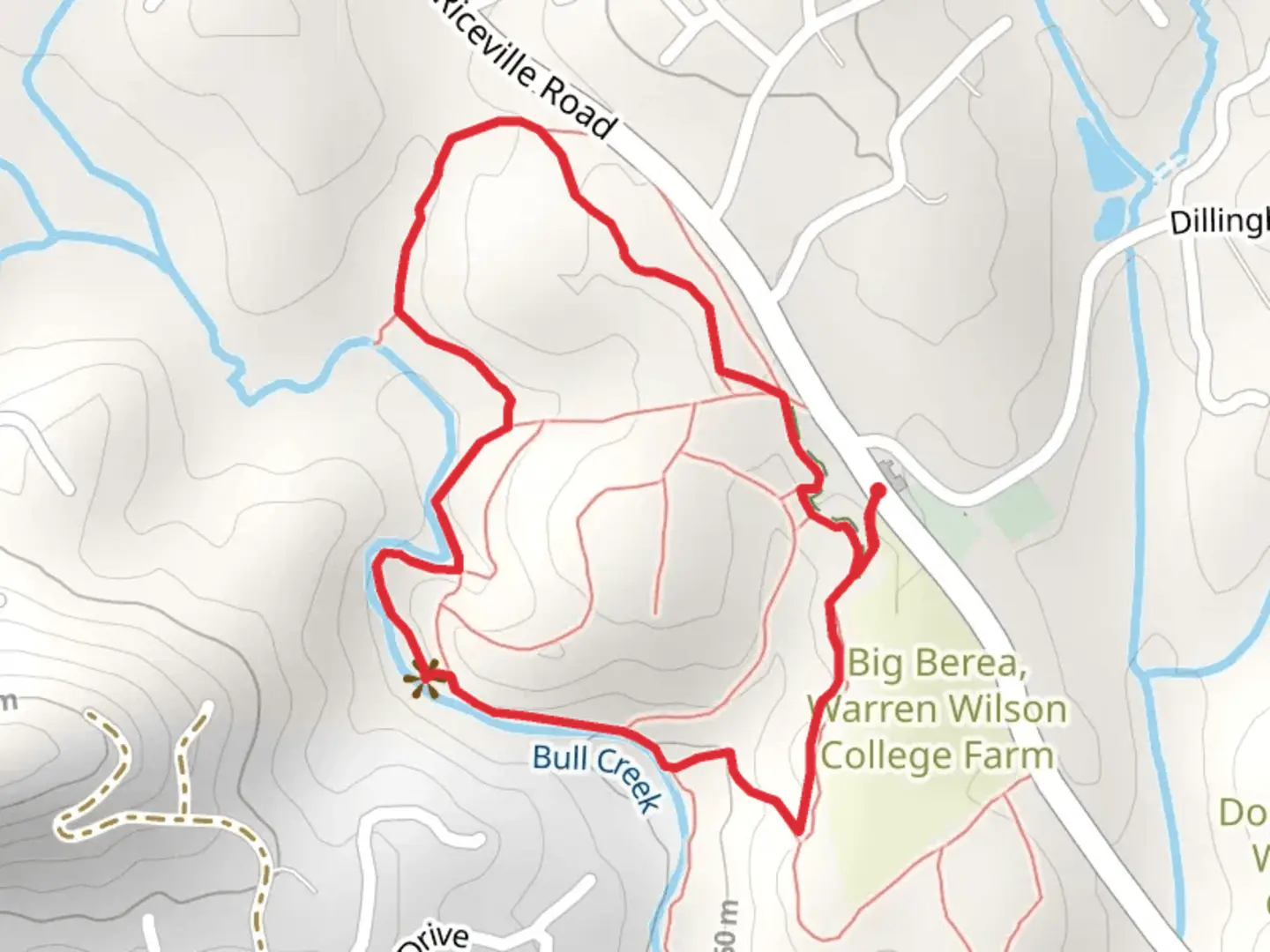 An image depicting the trail Big Berea, Bull Creek and WHite Pine Loop Trail and its surrounding area.