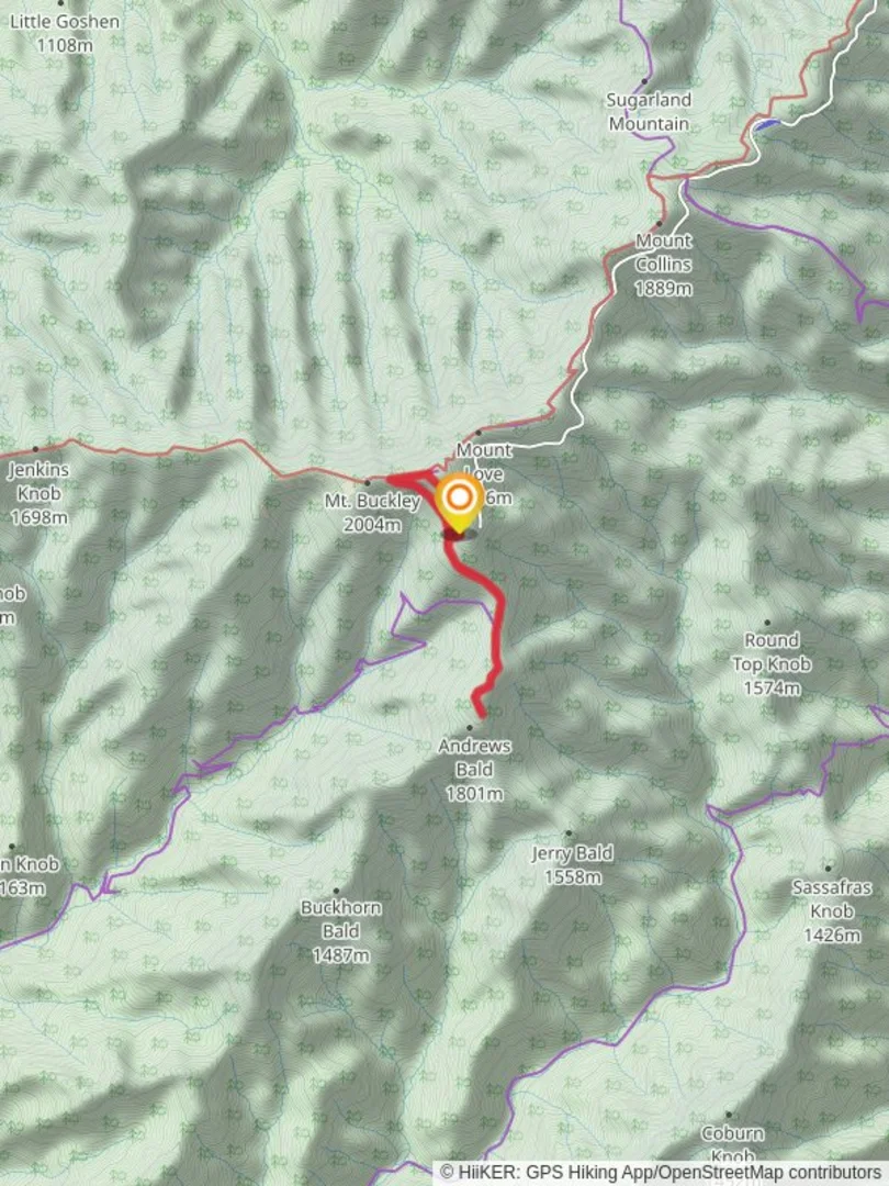 An image depicting the trail Clingmans Dome Trail and Forney Ridge Trail and its surrounding area.