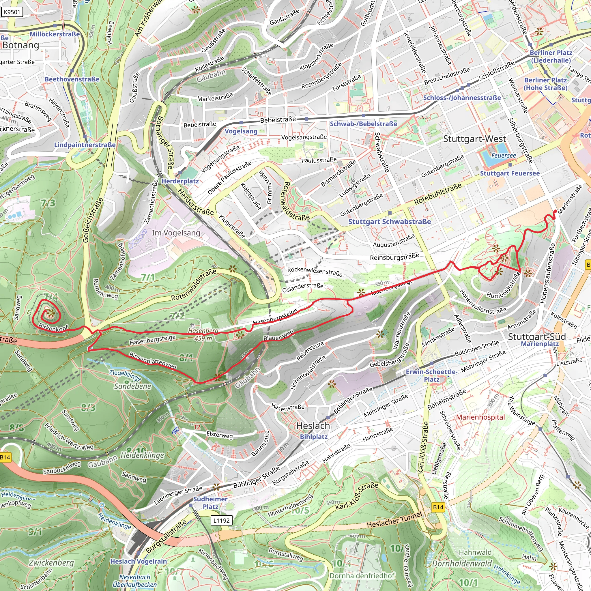 Birkenkopf via Binsenplattenweg and Blauer Weg mobile static map