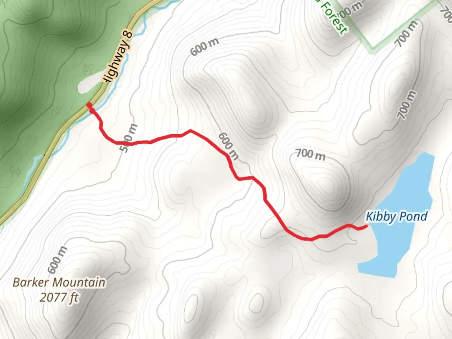 An image depicting the trail Kibby Pond Trail and its surrounding area.