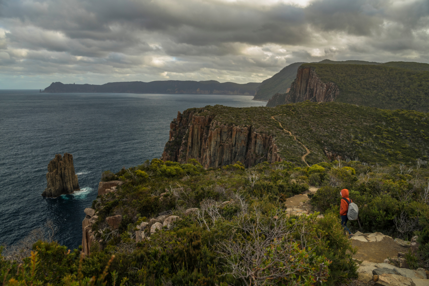 An image depicting the trail Three Capes Track and its surrounding area.