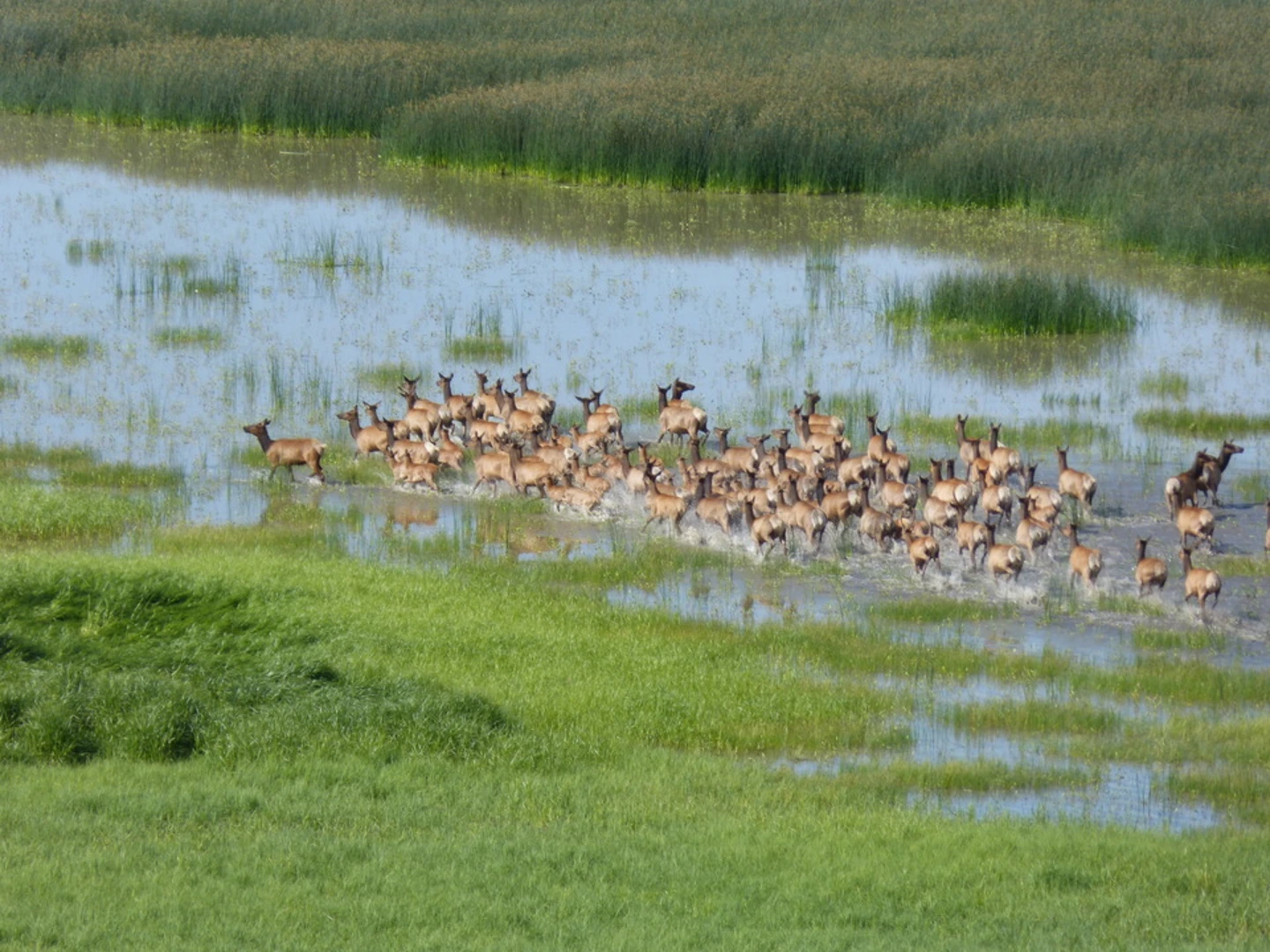 An image depicting the trail Mormon Mountain Trail and its surrounding area.