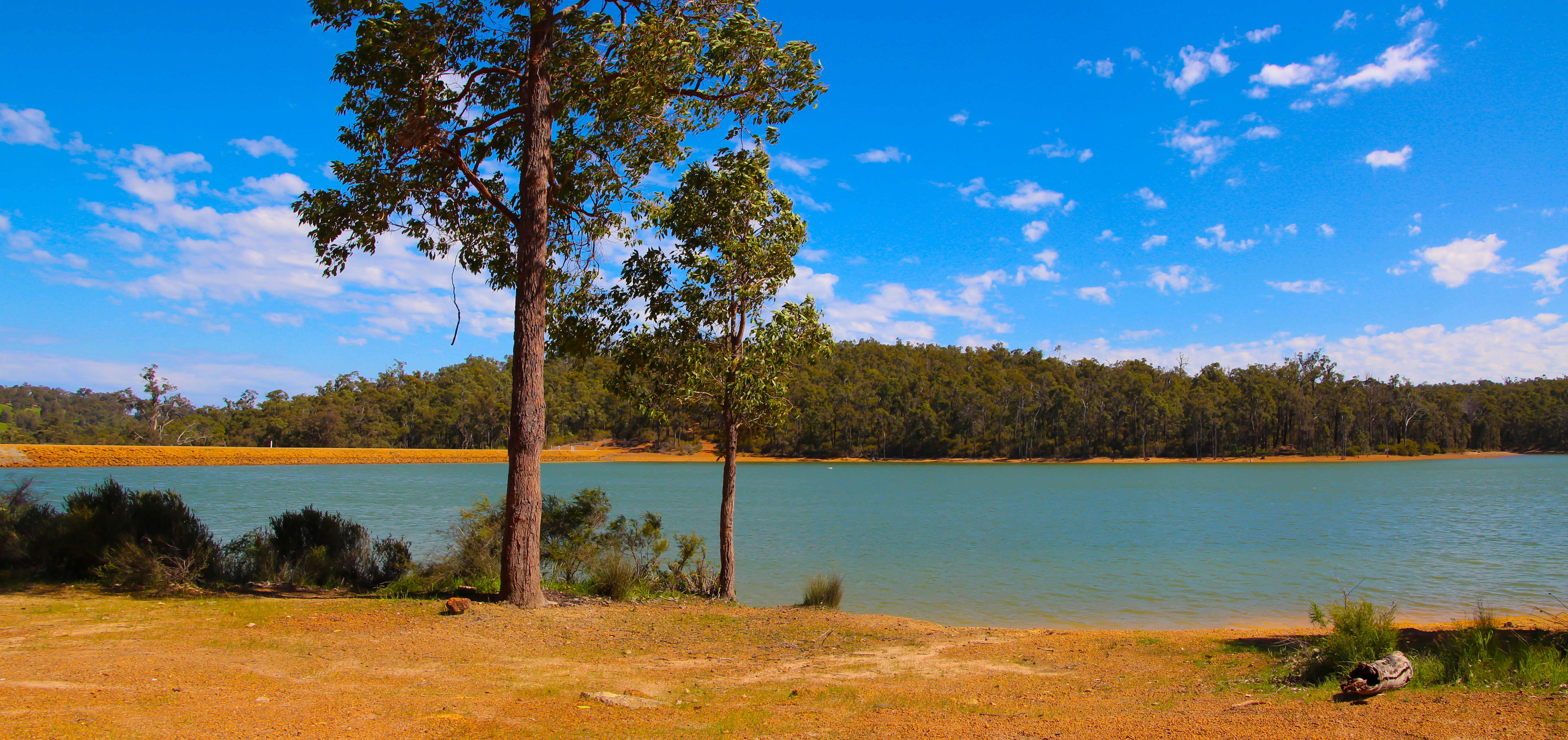 An image depicting the trail Wellington National Park and its surrounding area.