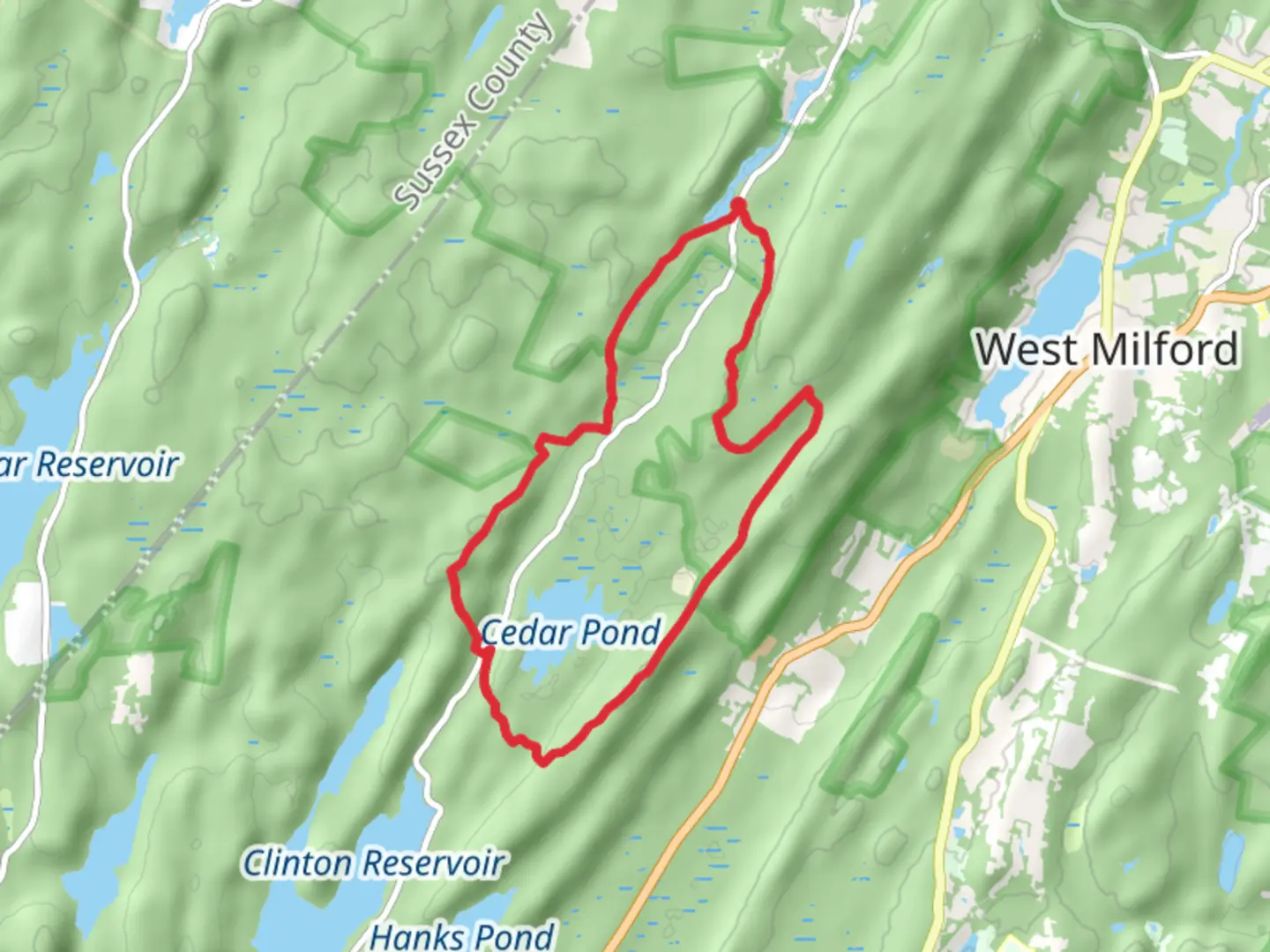 An image depicting the trail Cedar Pond Loop and its surrounding area.