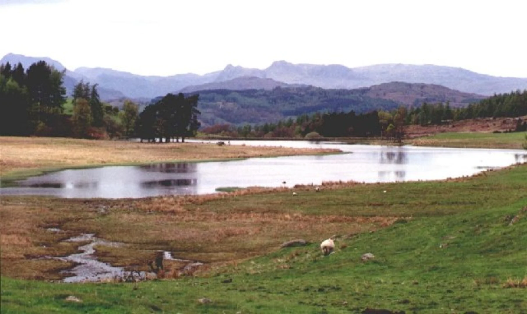An image depicting the trail Far Sawrey Loop and its surrounding area.