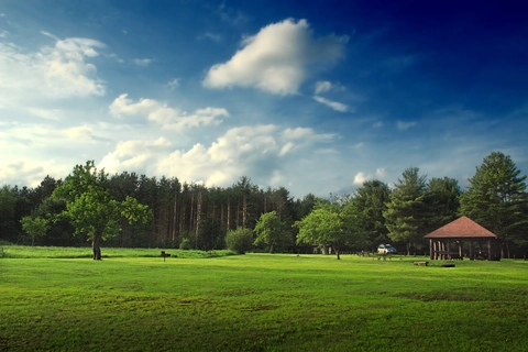 An image depicting the trail Hearts Content - Tom’s Run Trail and its surrounding area.