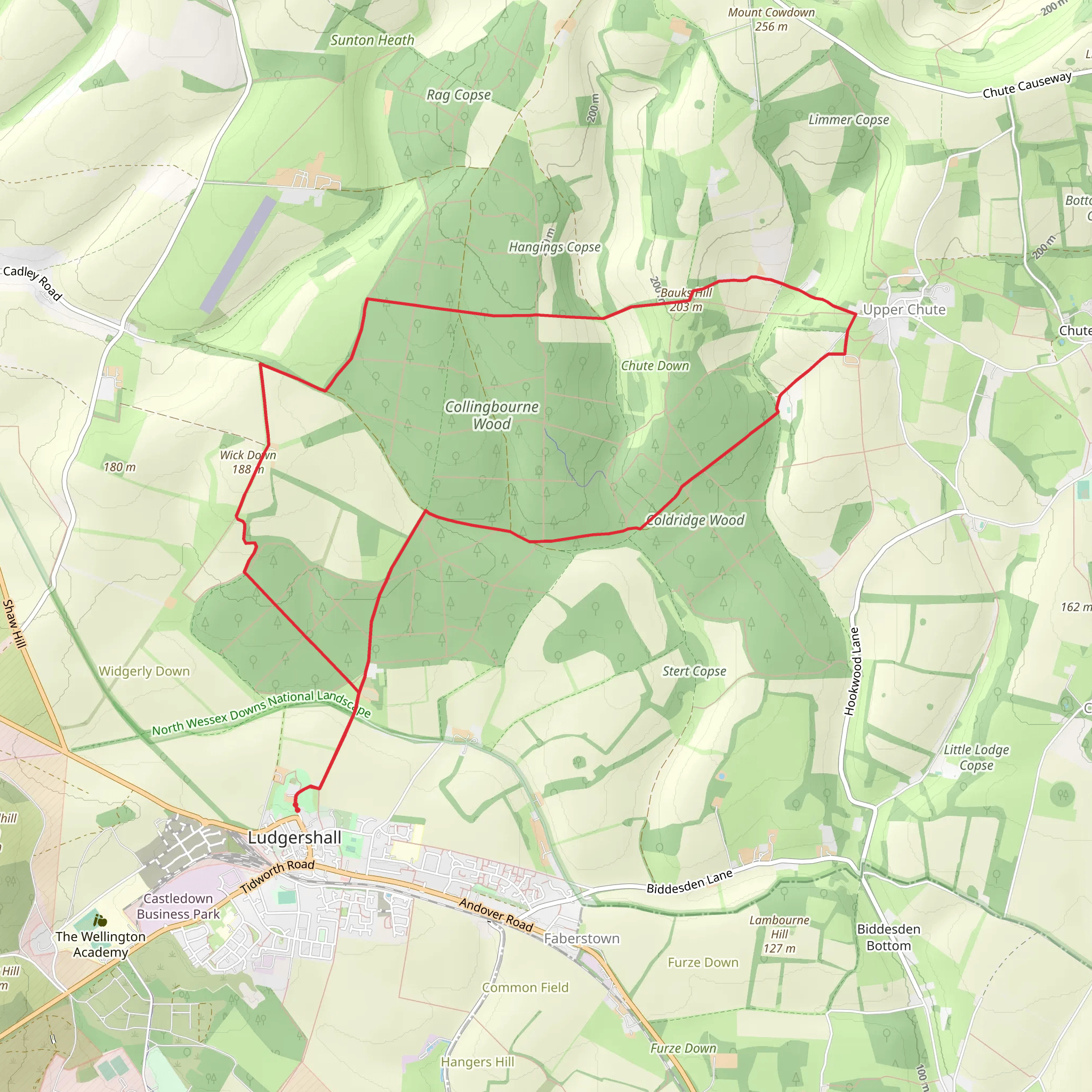 Great Stonehedge Copse and Collingbourne Wood Loop mobile static map