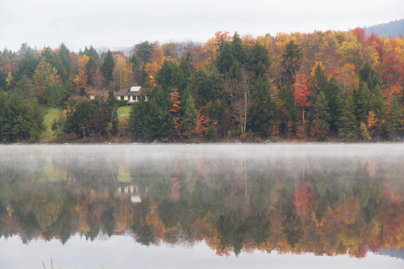 An image depicting the trail Pesky Cairn Trail and its surrounding area.