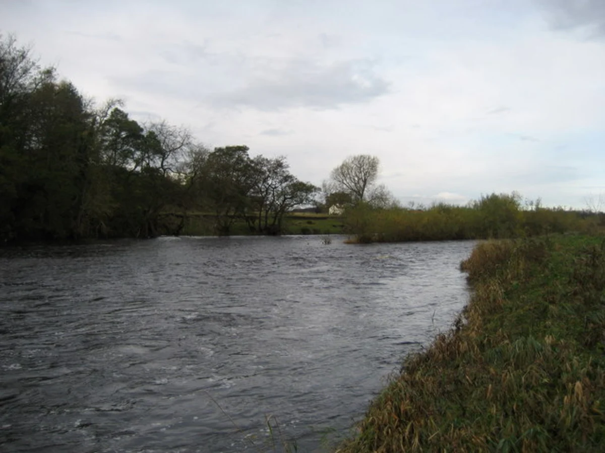 River Tees and Low Coniscliffe and Merrybent Country Park Loop