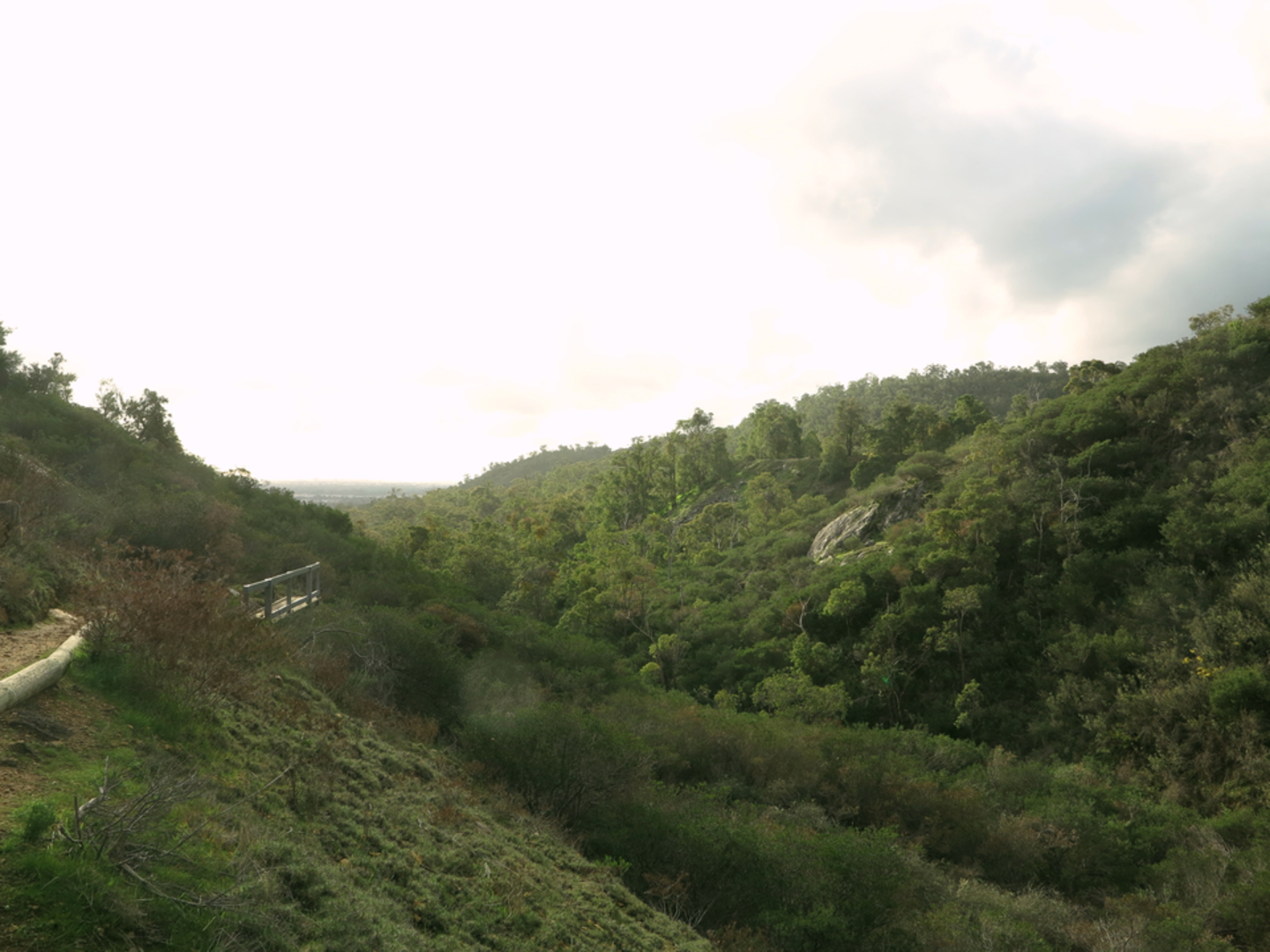 An image depicting the trail Blue Wren Ramble Trail and its surrounding area.