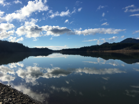 An image depicting the trail Wynoochee Lake Shore Trail and its surrounding area.