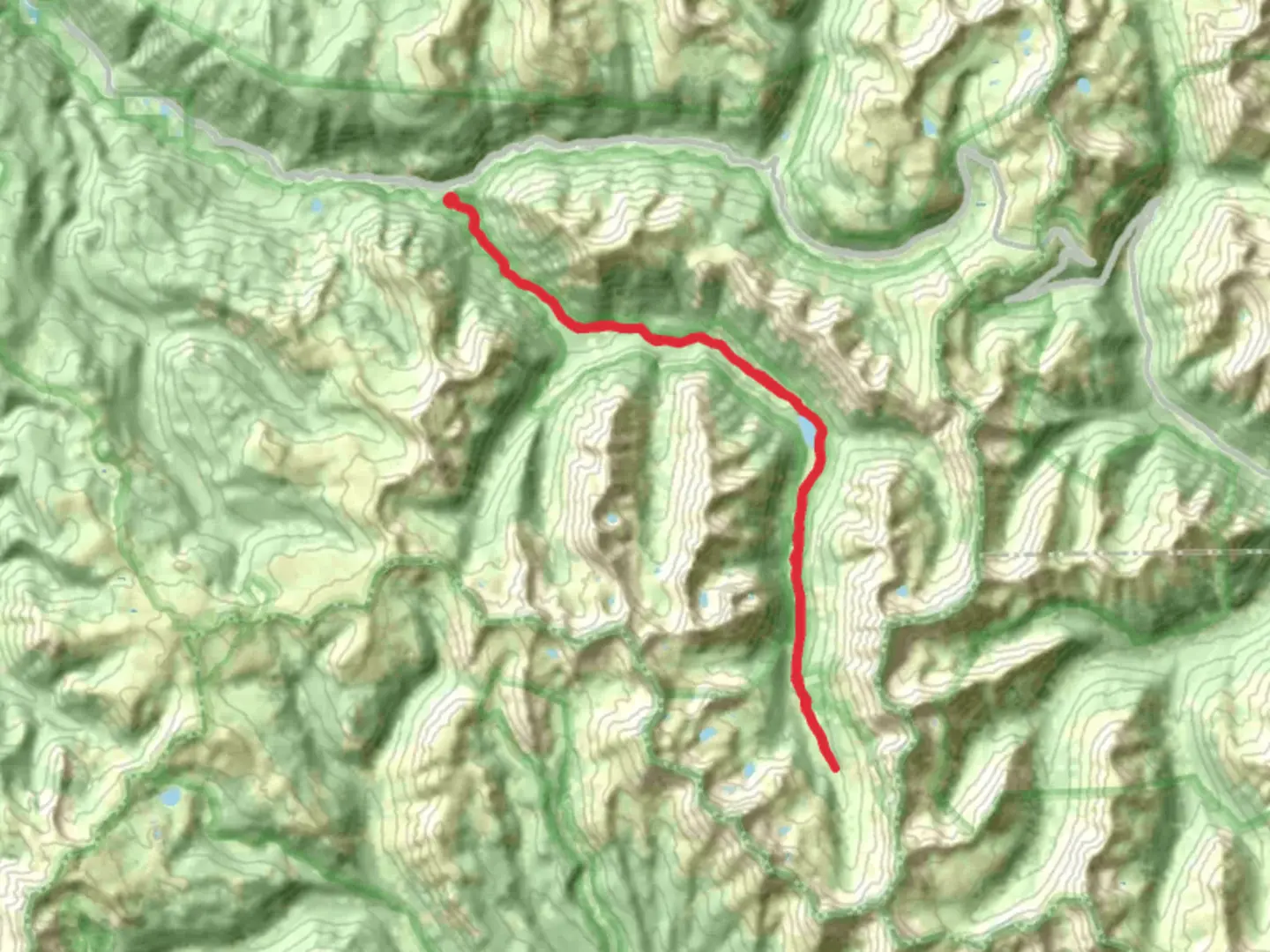 An image depicting the trail Grizzly Reservoir via Lincoln Creek Road and its surrounding area.