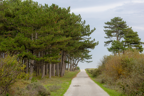 Duinen Terschelling and Donkere Bos Loop