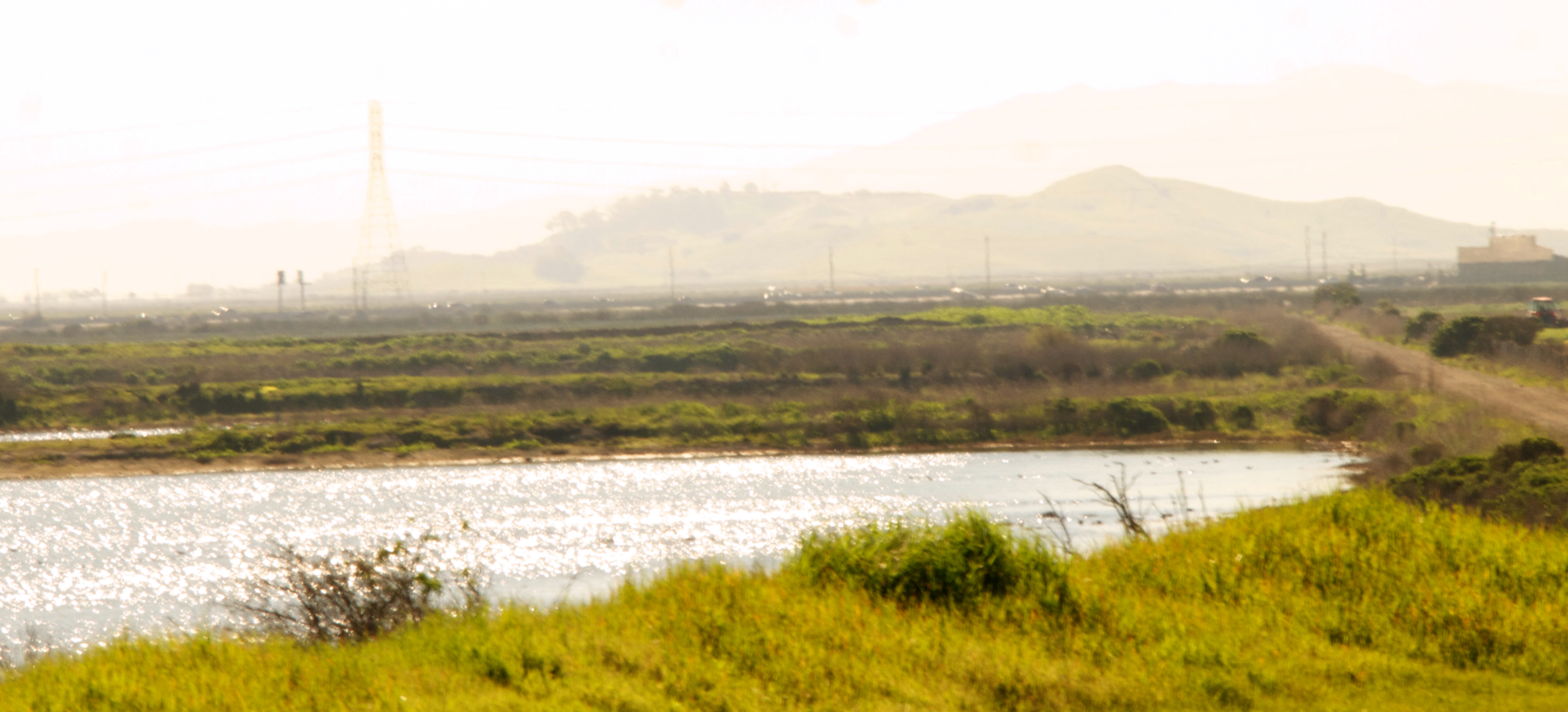 An image depicting the trail San Francisco Bay Trail Out and Back and its surrounding area.