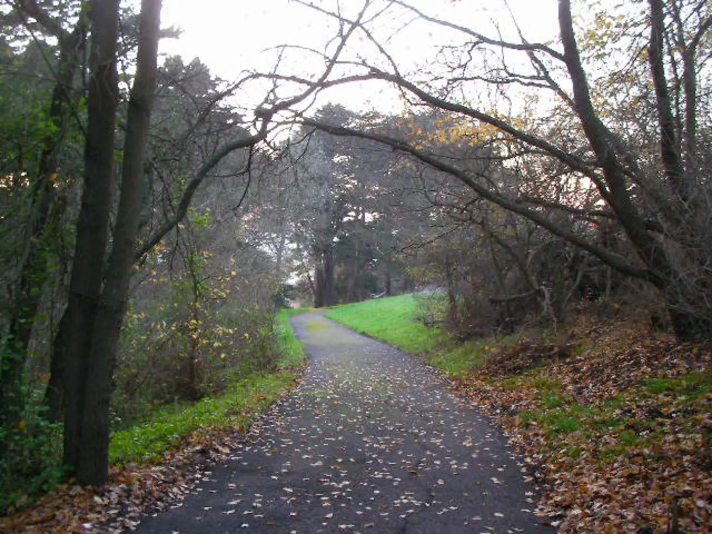 An image depicting the trail Visitacion Knob and Philosopher's Way Loop and its surrounding area.