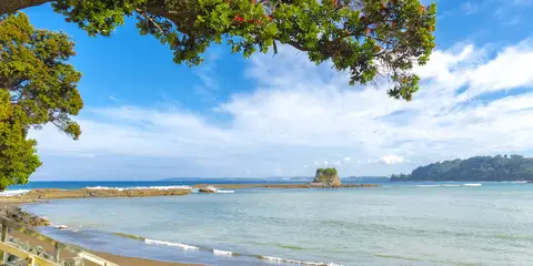 An image depicting the trail Matheson Bay Bush Walk and its surrounding area.