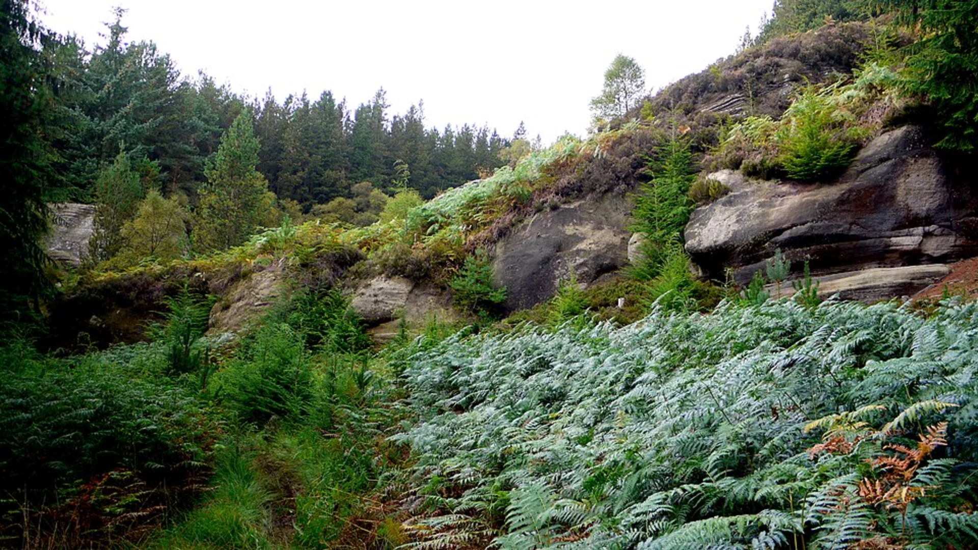 An image depicting the trail Stone Arthur, Great Rigg, Fairfield and High Pike Loop and its surrounding area.