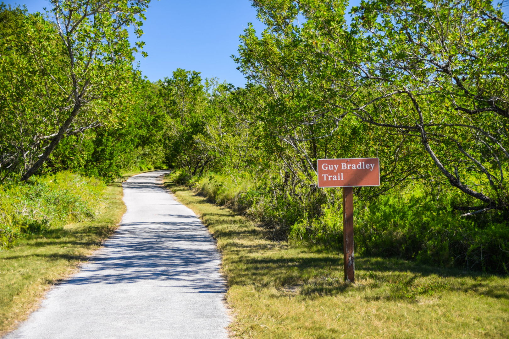 An image depicting the trail Guy Bradley Trail and its surrounding area.